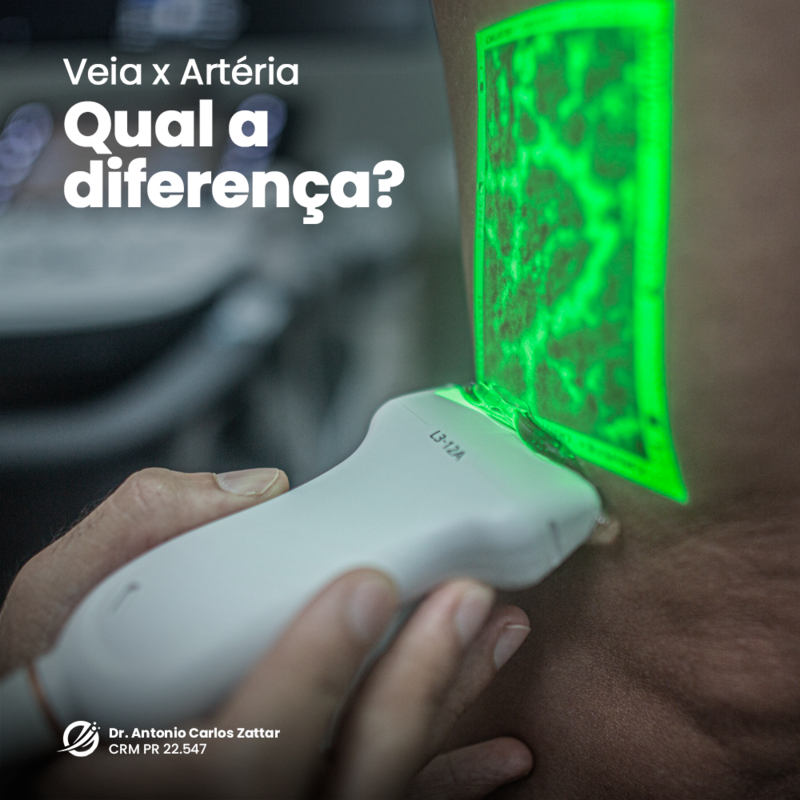 Diferença entre veia e artéria 